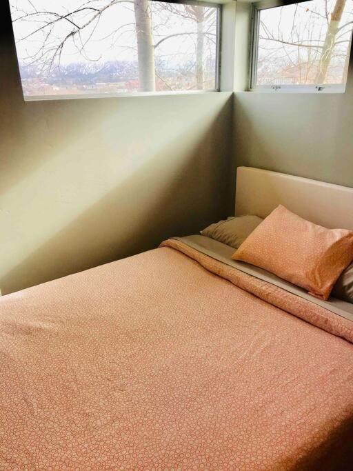 Dreamloft And Patio On The Hill Villa ซีดาร์ซิตี ภายนอก รูปภาพ